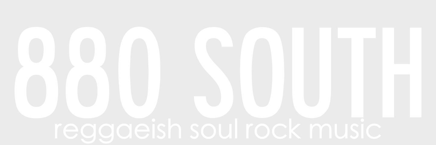 880 SOUTH Long-Form Logo Transfer Sticker